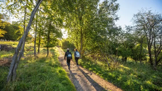 2 Walkers in the Chiltern countryside