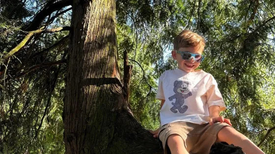 A young boy in sunglasses climbs a tree.
