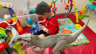 A boy plays with his dinosaur toys.