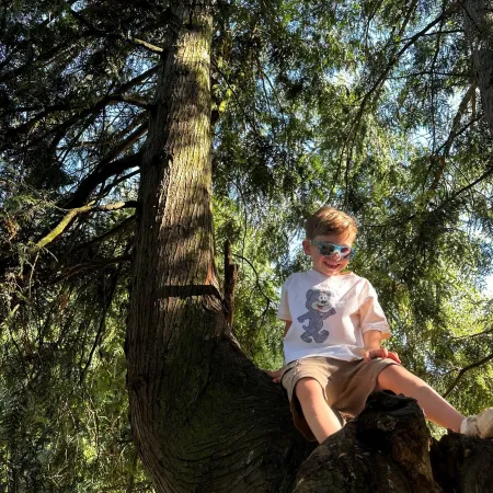 A young boy in sunglasses climbs a tree.